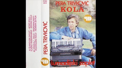 Petar Trivkovic Romska setnja