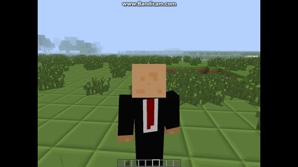 Minecraft- скрити честове