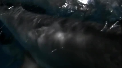 Worst Shark Attack Ever_ Ocean of Fear