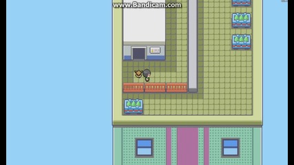 How to get free Eevee in Pokemmo?