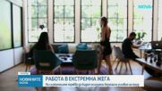 Работа в екстремна жега: На служителите трябва да бъдат осигурени безопасни условия на труд