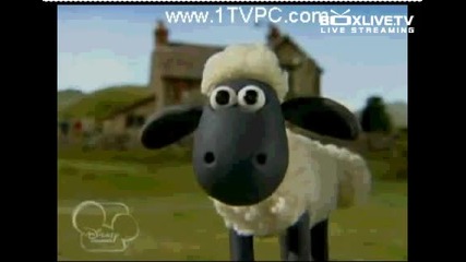 Shaun The Sheep - Big Top Timmy 