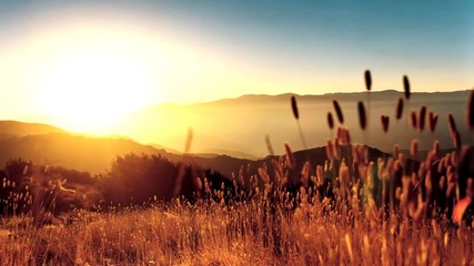 Atb feat. York - the fields of love (original Club Mix)