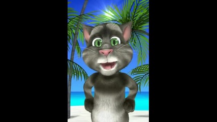 Talking Tom Messenger Android Review
