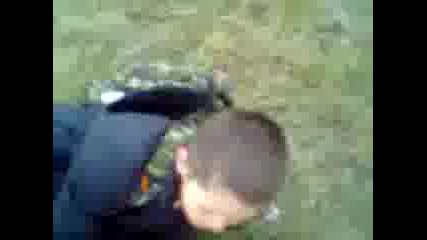 лудият 7