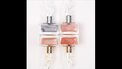 Aurora Scents Deciduous Winter 2022 - Parfumi.net