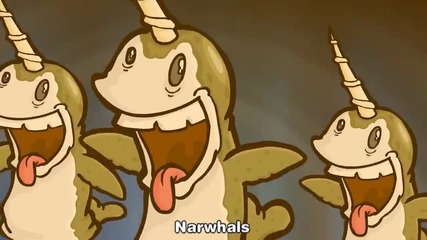 Narwhals (hd) 