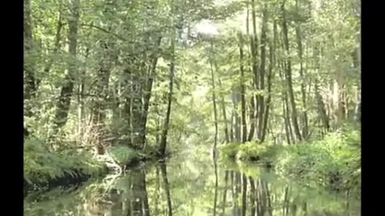 Nature in Germany 