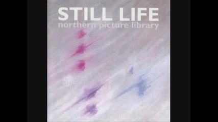Northern Picture Library - Here To Stay 