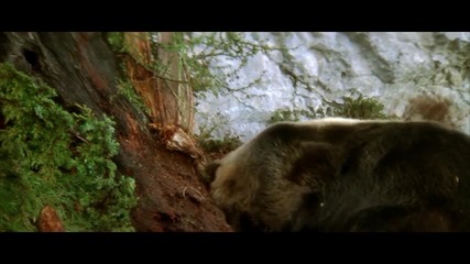 L_ours_x264