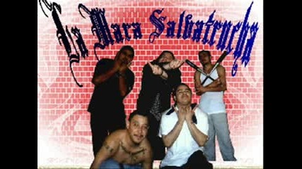 (ms13) Mara Salvatrucha Trece