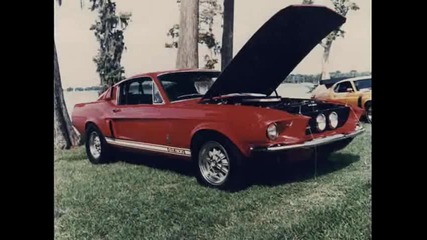Ford Mustang Shelby 