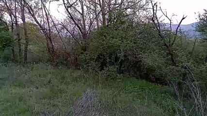 Vid_20240406_065910.mp4