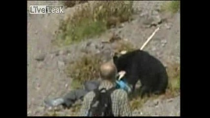 Мечка атакува ван с японски туристи и оставя 9 жертви