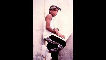 Lil Bow Wow Ft. R.kelly - Im A Flirt