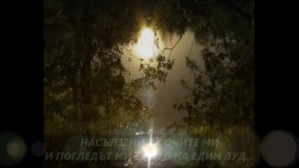 Темис Адамантидис Всяка нощ - Превод