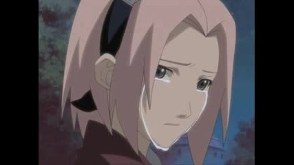 Sakura Loving