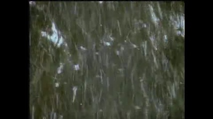 Soft Cell`~say Hello wave Goodbye