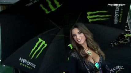 Motogp Misano 2014 Paddock girls