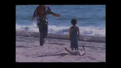 Eric Burdon - Bird On The Beach