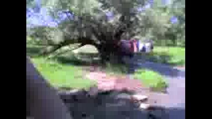 Off Road 1