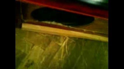 Bass.3gp