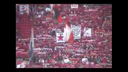 Urawa Reds Supporters
