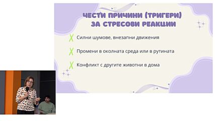 Как да подготвим кучето и котката за бебето. Говори д-р Надежда Костадинова