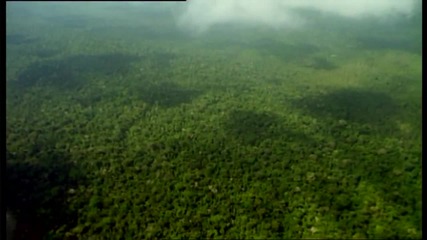 Hymn to the Rainforest (sarah Brightman. Nella Fantasia) 