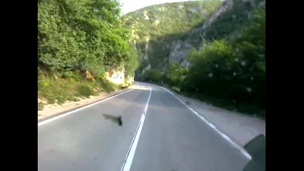 Nis- Pirot (srb)