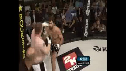 Andrei Arlovski Vs. Roy Nelson