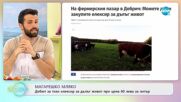ТЕМАТА: Фаталист ли е българинът? - „На кафе” (15.04.2022)