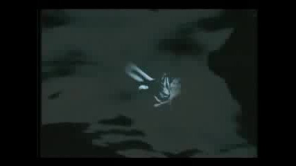 Robert Plant - Ship of fools