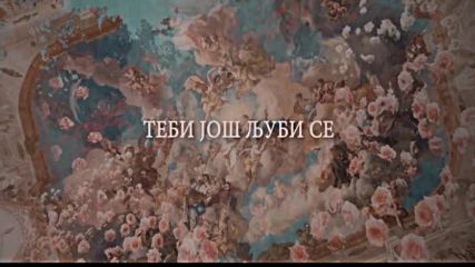 Ceca - Andjeo drugog reda Official 2016