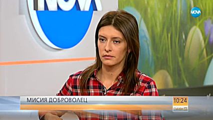 ОТ ПЪРВО ЛИЦЕ: Разказ за изоставените коне в Осоговската планина