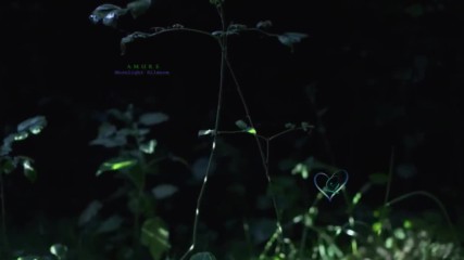 Amure - Moonlight Silence