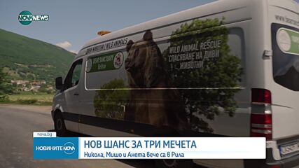 Пуснаха три спасени мечета на свобода в Рила (ВИДЕО)