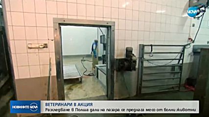 В Полша разследват кланница, заподозряна, че предлага месо от болни животни