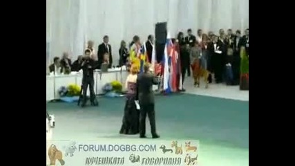 Best in Show - World Dog Show 2009, Bratislava 
