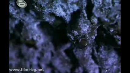 Life on Mars Живот на Марс - 3