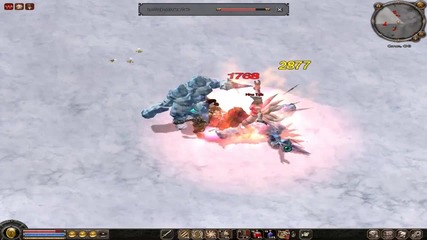 Metin 2 Killing Nine Tail