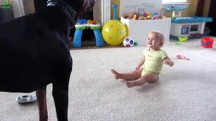 Best Babies and Animals Compilation 2013
