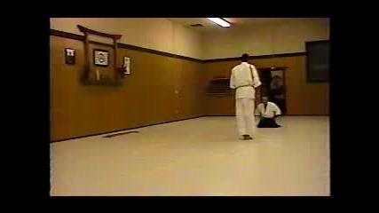 Aikido Shodan