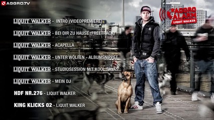 Liquit Walker ft. Danetic - Mein D J