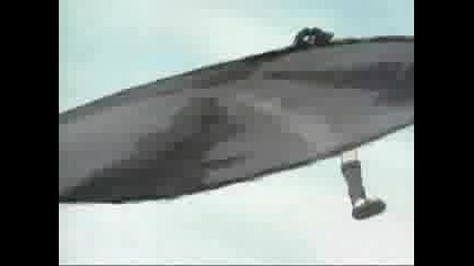 nauto