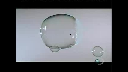 time worp - qko