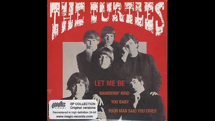 The Turtles