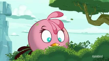 New Pink Bird