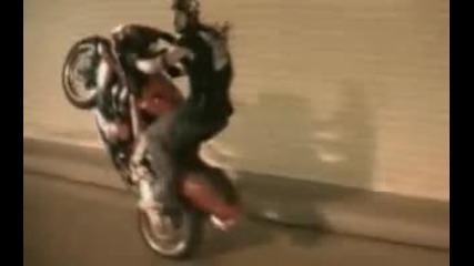 motorbikes freestyle 