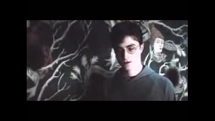 Harry Potter 5 Whisper In The Dark